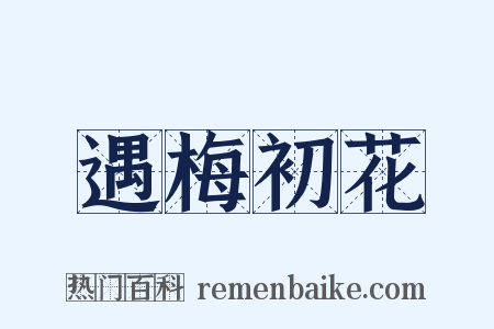 遇梅初花是什么意思的图片